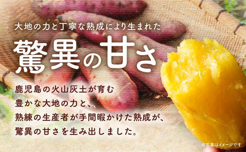 ＜訳あり＞さつま芋（紅はるか）5kg　K396-001