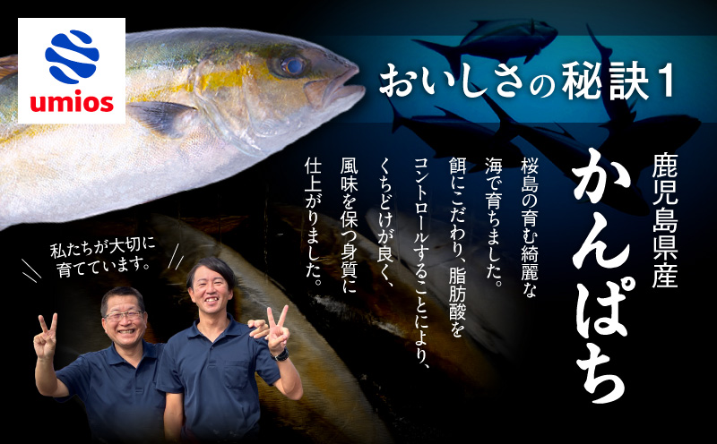 桜島灰干しかんぱち 4人前セット　K255-001_03