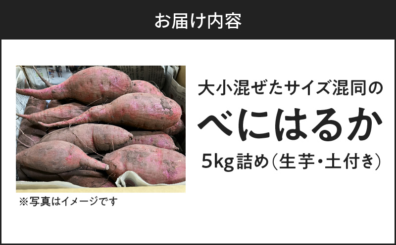 サイズバラバラ熟成べにはるか（生芋）土付き5kg　K270-001