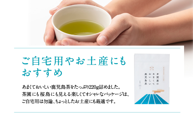 【新茶】2025/6/30まで！鹿児島特上深蒸し煎茶 彩緑天 3本セット　K112-002_shincha