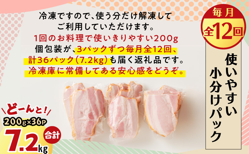 【全12回】切り落としベーコン定期便　K161-T03