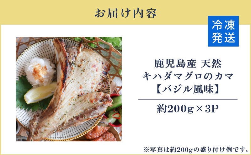 鹿児島産 天然 キハダマグロのカマ約200g×3P 調理済 （バジル風味）　K100-012_01