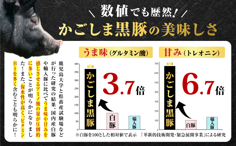 昔ながらの黒豚しゃぶしゃぶ1.2kg＜モモ＞　K125-007