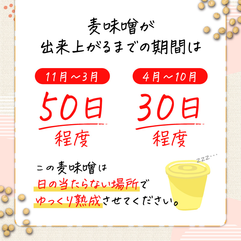「かねよ みそ しょうゆ」麦味噌手作りキット　K058-004