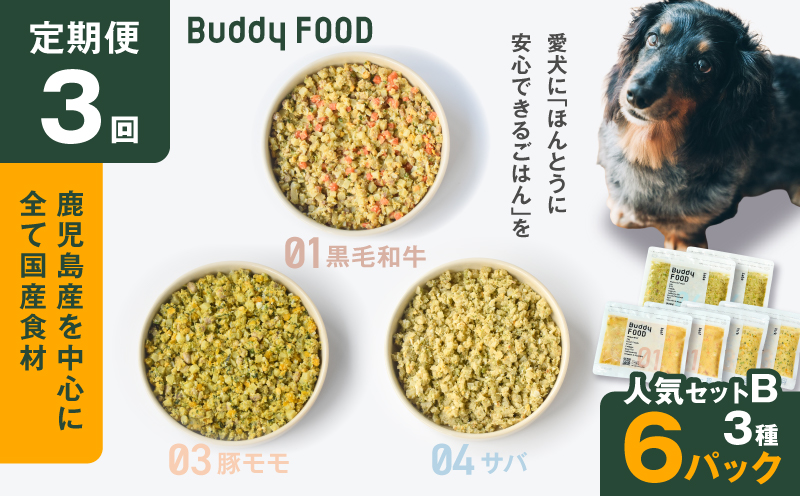 【全3回定期便】Buddy FOOD 人気セットB 3種6パック　K390-T12_a