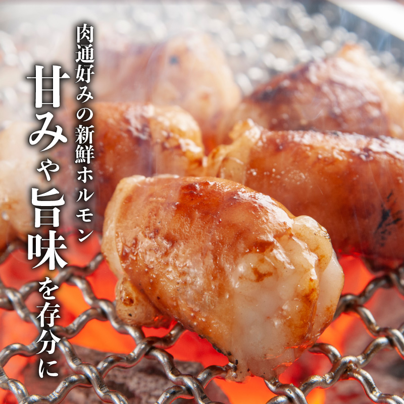 黒毛和牛！大人気のもつ（ホルモン）セット　K002-006