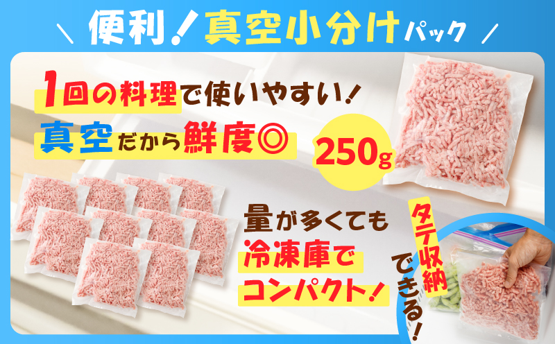 鹿児島県産 黒豚ミンチ 2.5kg　K025-013_05