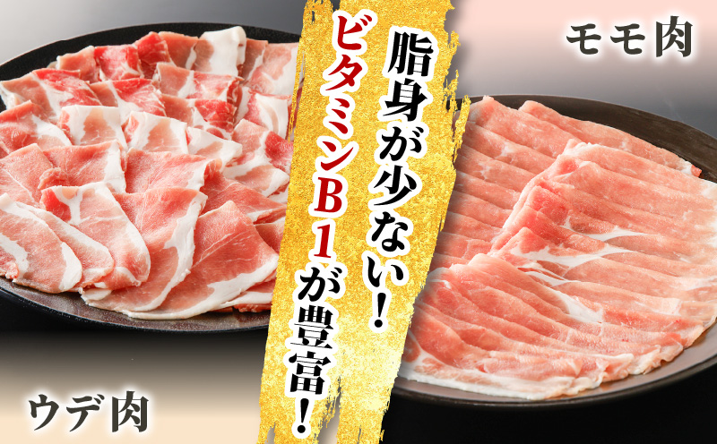 かごしま黒豚 切落し（モモ肉、ウデ肉） 500g×3P　K091-005