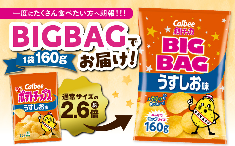 カルビー ポテトチップス BIGBAG【うすしお】12袋　K194-002_04