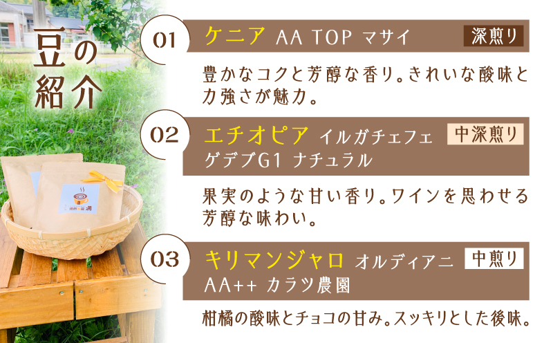 スペシャルティコーヒー飲み比べセット（豆）　K358-002_01