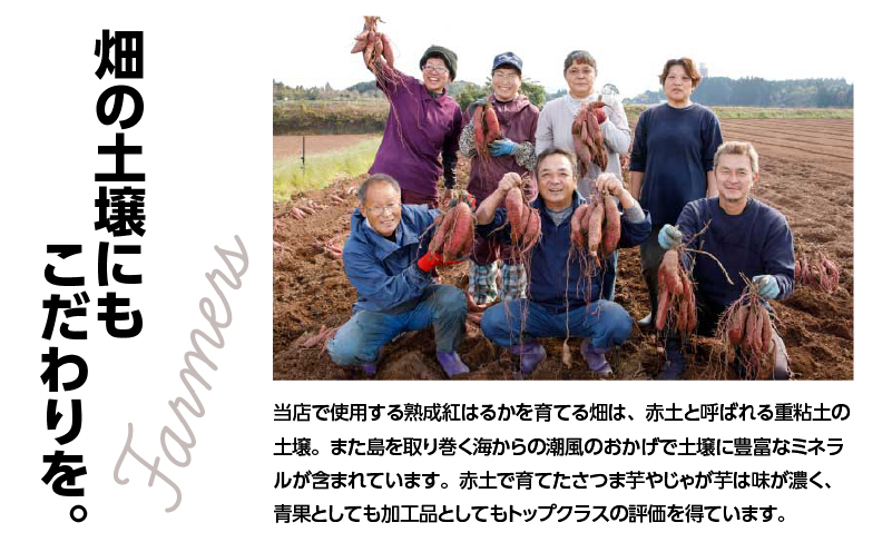 芋チーズケーキ（6個セット）　K138-002
