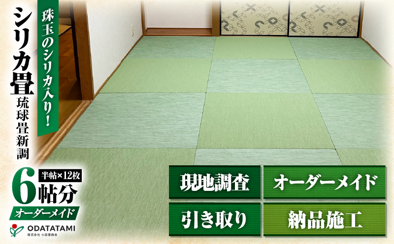 現代の名工カンパニー特製！シリカ畳琉球畳新調（畳半帖サイズ12枚）　K348-002