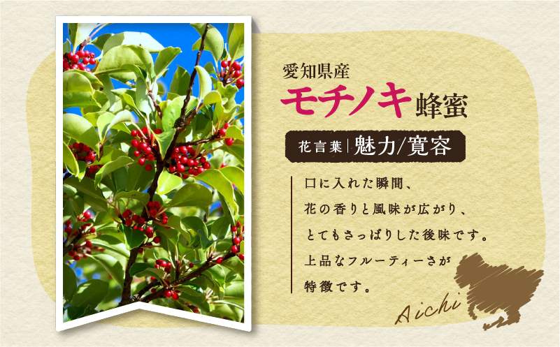 【5営業日以内に発送】モチノキの蜂蜜酒 meadol -ミードル-甘口100ml　K105-004_02k