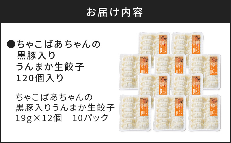 ちゃこばあちゃんの黒豚入りうんまか生餃子　120個入り　K027-003
