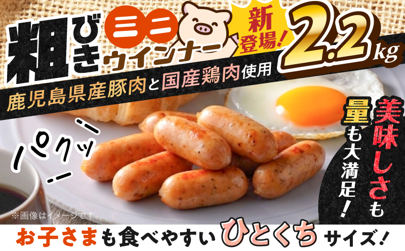 一口でぱくっとミニウインナー 200g×11P　K161-030_03