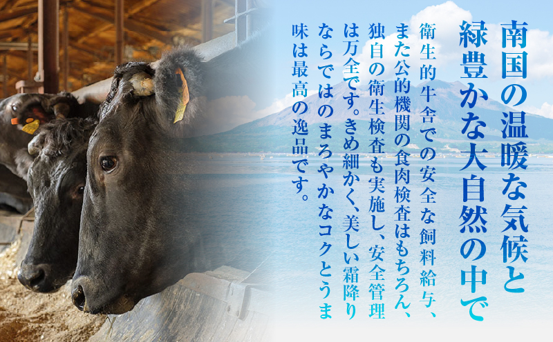 （D-3501）鹿児島黒牛ウデスライスセット 計900g　K127-009