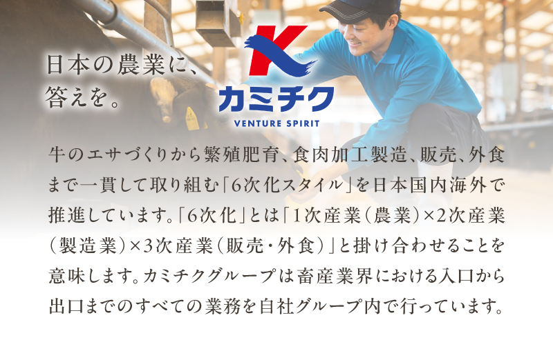 【期間限定】【訳あり】鹿児島県産黒毛和牛 タレ漬け牛こま切れ 600g　K002-053_06