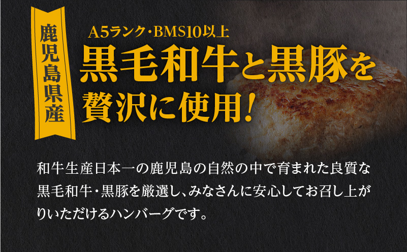 【肉旅】鹿児島県産黒毛和牛＆黒豚入り手ごねハンバーグ8個入　K235-001_01