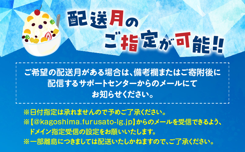 セイカ食品 南国白くま 白 12個セット　K051-003