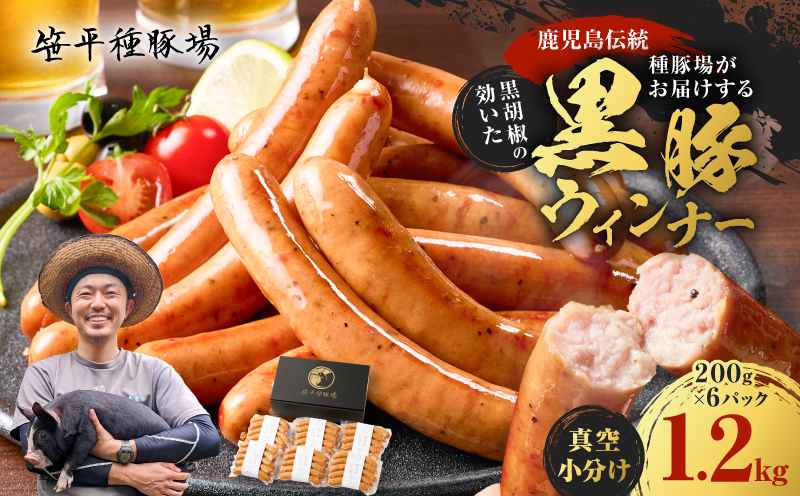 種豚場がお届けする鹿児島伝統の黒豚 黒胡椒の効いた黒豚ウインナー　K125-002