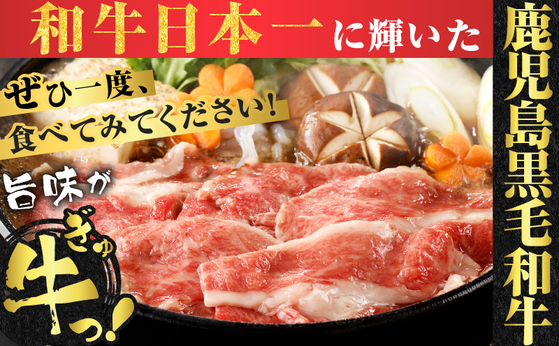 鹿児島県産黒毛和牛切り落とし900g　K025-006