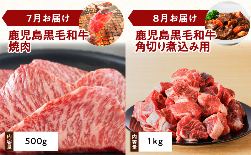 【全12回】鹿児島黒毛和牛定期便　K130-T01