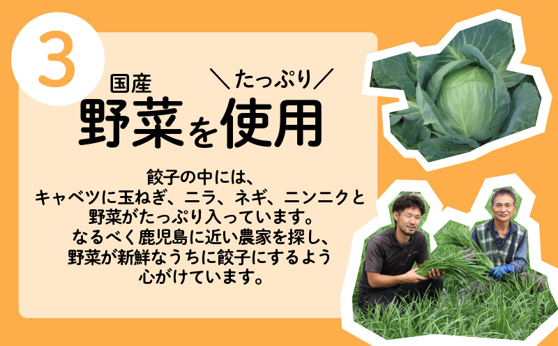 ちゃこばあちゃんの黒豚入りうんまか生餃子　60個入り　K027-001