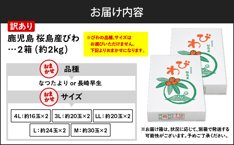 旬の朝採り！ 鹿児島 桜島産びわ 2箱（訳あり品）　K343-002_02
