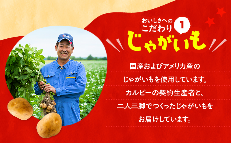 カルビー ポテトチップス BIGBAG【のりしお】12袋　K194-002_08