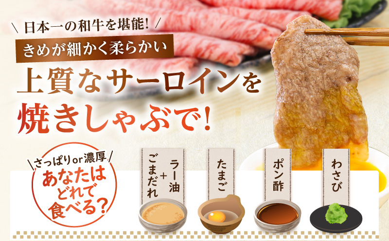 （KH-401）鹿児島黒牛サーロイン焼きしゃぶセット（計500g）　K127-018_01