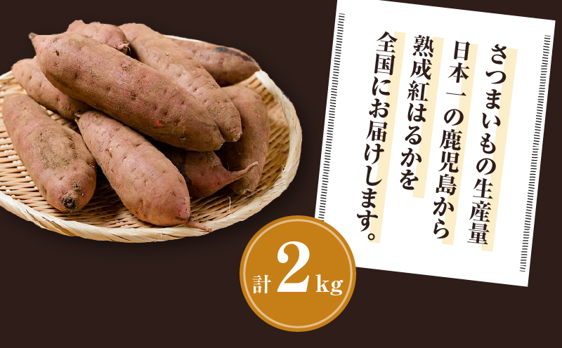 【2025年先行予約】畑の金貨　生芋　紅はるか2kg　K181-004