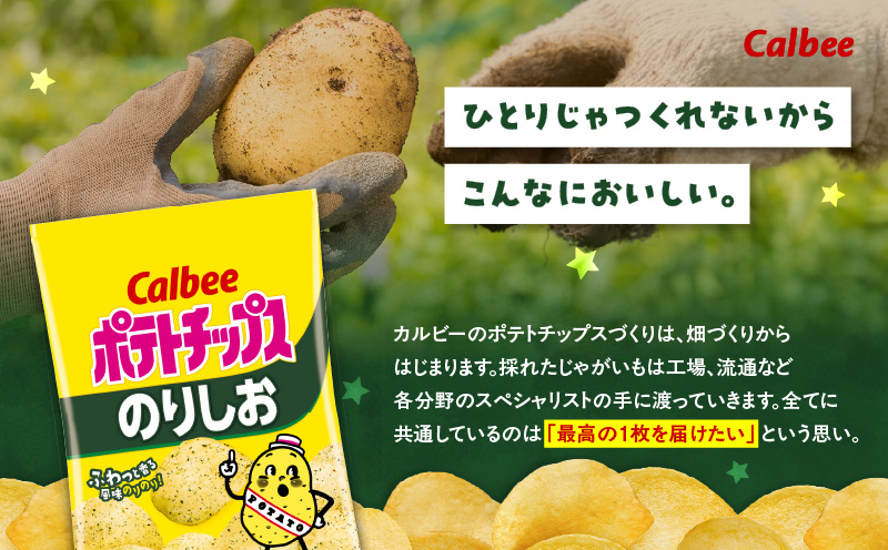 カルビー ポテトチップス【のりしお】16袋　K194-002_07