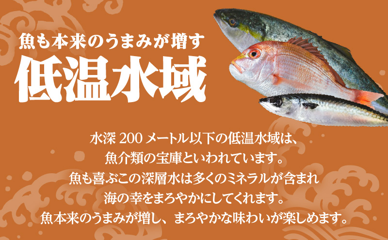 【海幸】漬け魚 9種 詰め合わせ（FK-02）　K065-005