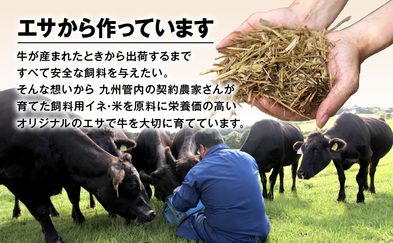 鹿児島県産豚 3種類 3kg（バラ・肩ロース・ロース）　K002-026_03