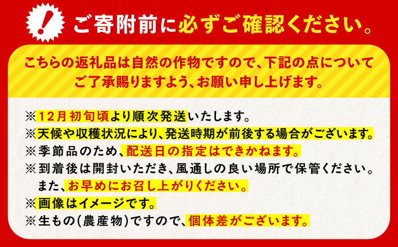 【訳あり品】旬の朝採り！鹿児島桜島小みかん 1箱　K343-003