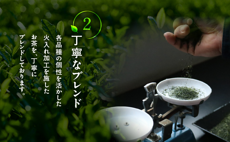 知覧茶ティーバッグ 50個入り （10袋セット）　K346-003_05