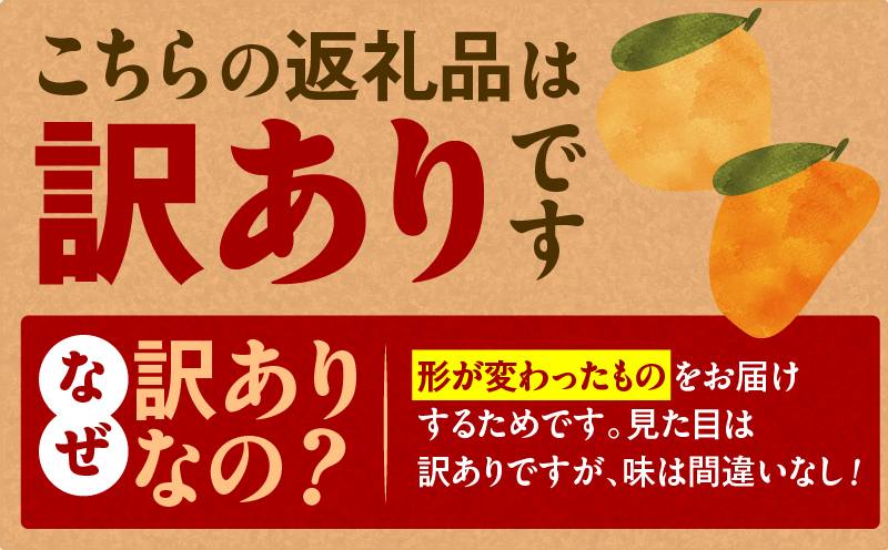 旬の朝採り！ 鹿児島 桜島産びわ 1箱（訳あり品）　K343-002