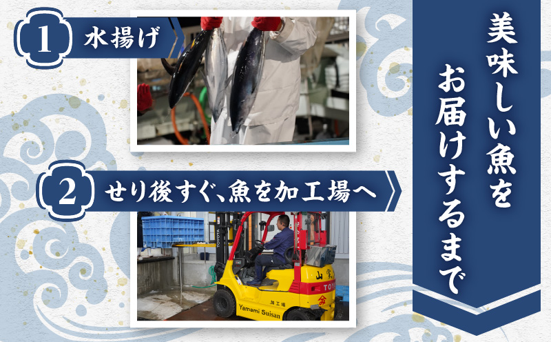 【山実水産】もちもち生カツオ(R)たたき6節+養殖かんぱち柵セット　K046-001