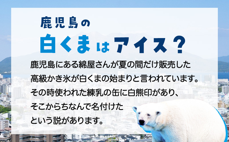 セイカ食品 元祖鹿児島南国白くま12個セット　K051-003