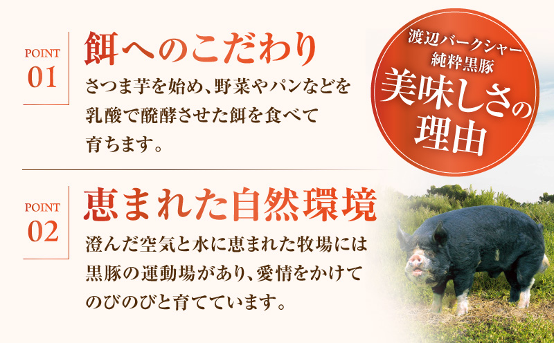 国産黒豚しゃぶしゃぶセット（豚ロース・豚バラ各200g）　K396-002