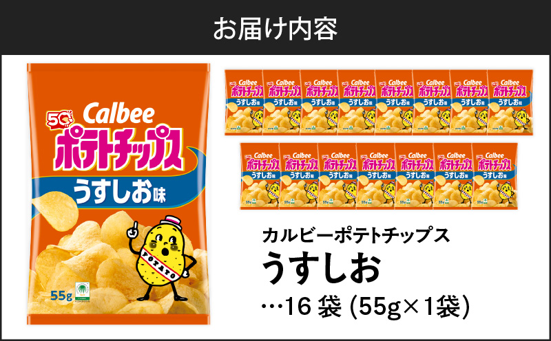 カルビー ポテトチップス【うすしお】16袋　K194-002_03