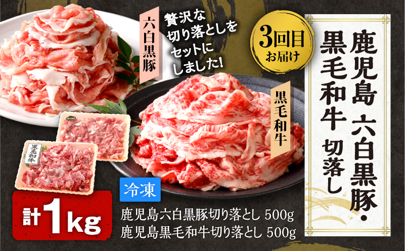 【全5回】一家に一肉！鹿児島の万能お肉定期便　K000-T2326