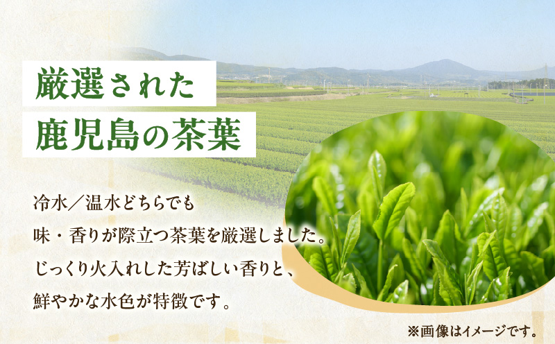 【5営業日以内に発送】【期間限定】水出し煎茶 緑茶ティーバッグ 6袋　K111-039_03