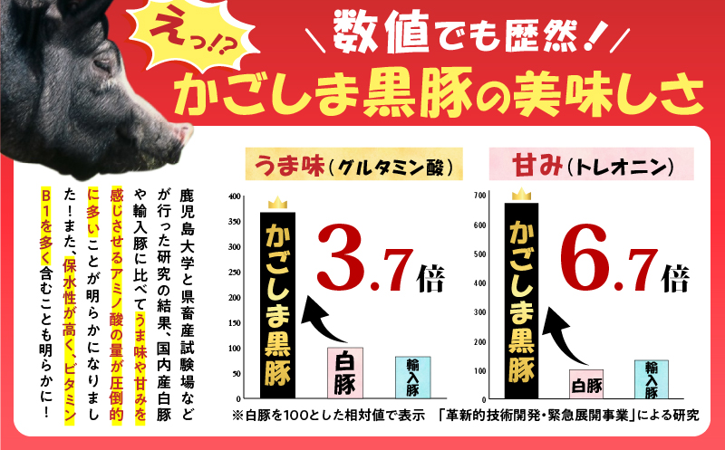 鹿児島県産 黒豚切り落としミンチセット 1.5kg　K025-014_03