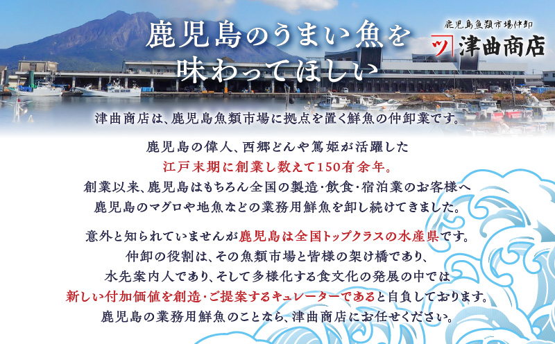 鹿児島産　スライスするだけ！カンパチ刺身用 1/4本 3～4人前　K100-006