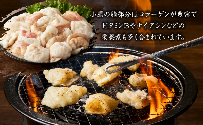 カットホルモン　K137-002