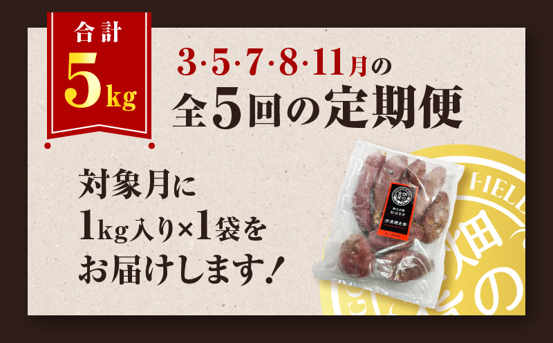 【全5回】【畑の金貨】焼き芋紅はるか1kg 定期便　K181-T01