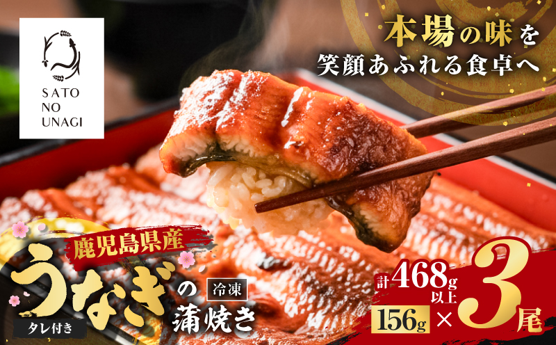 鹿児島県産うなぎ蒲焼 156g×3尾 468g以上　K379-002_01