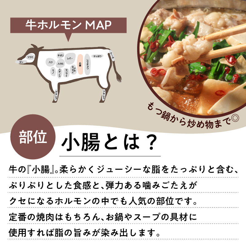 牛もつ（ホルモン）食べ尽くし！オールスターセット　K002-008