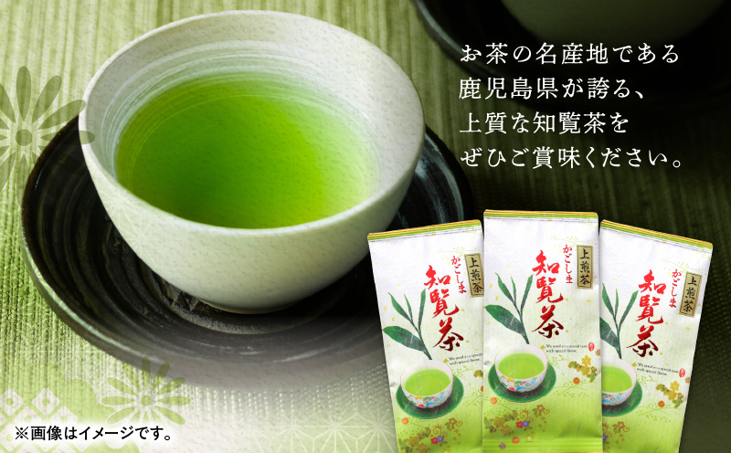かごしま知覧茶 （100g×1袋）　K346-001_01